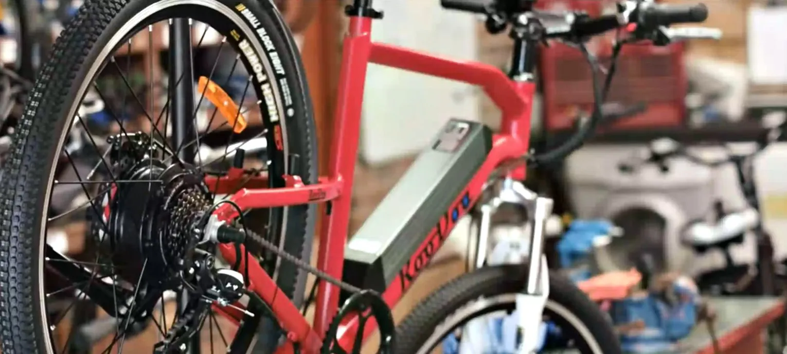 Roodog Electric Bikes Range Red 5