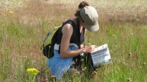 Plantlife Volunteer With Us Wildflowercount Tentsmuir