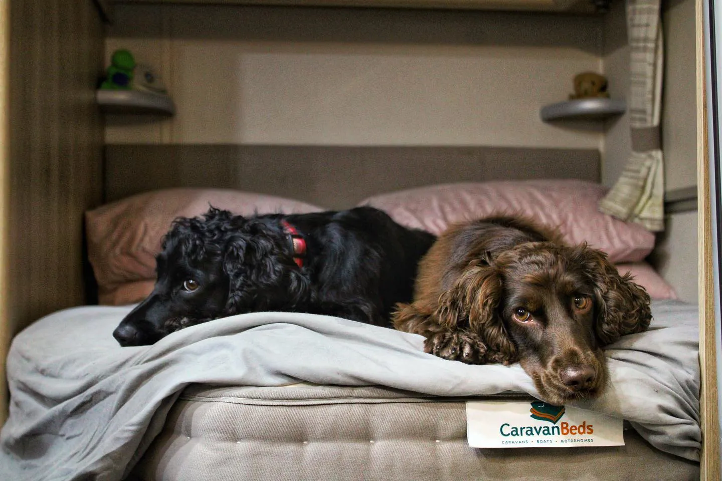 Caravan Beds Range Image