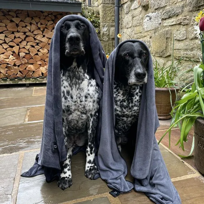 Pawdaw Luxury Dog Towel